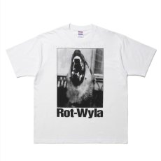 画像1: ROTTWEILER/DOG PHOTO TEE（WHITE）［プリントT-25春夏］ (1)