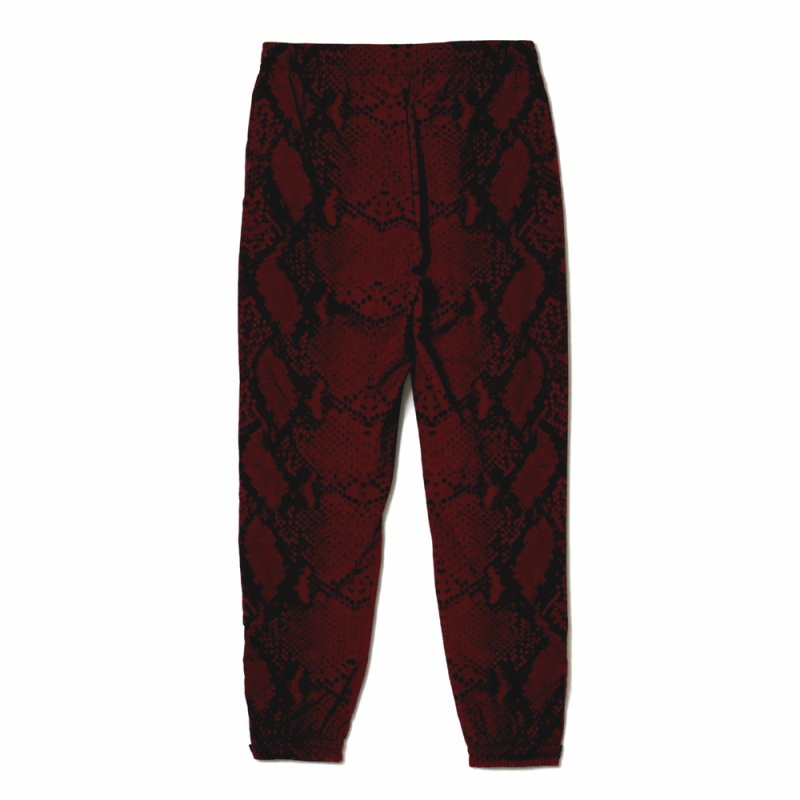 画像2: 【20%OFF】BUENA VISTA/TRAINING PANTS PYTHON（BORDEAUX）［トレーニングパンツパイソン-24秋冬］
