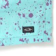 画像6: CHALLENGER/SPLATTER MARINE SHORTS（MINT）［スプラッターマリンショーツ-25春夏］
