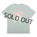 CHALLENGER/PUNK GIRL TEE（MINT）［ピグメント染めプリントT-25春夏］