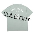CHALLENGER/PIGMENT PEACE TEE（MINT）［ピグメント染めプリントT-25春夏］
