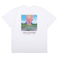 画像1: CHALLENGER/FROG TEE（WHITE）［プリントT-25春夏］ (1)
