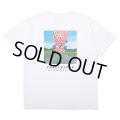 CHALLENGER/FROG TEE（WHITE）［プリントT-25春夏］