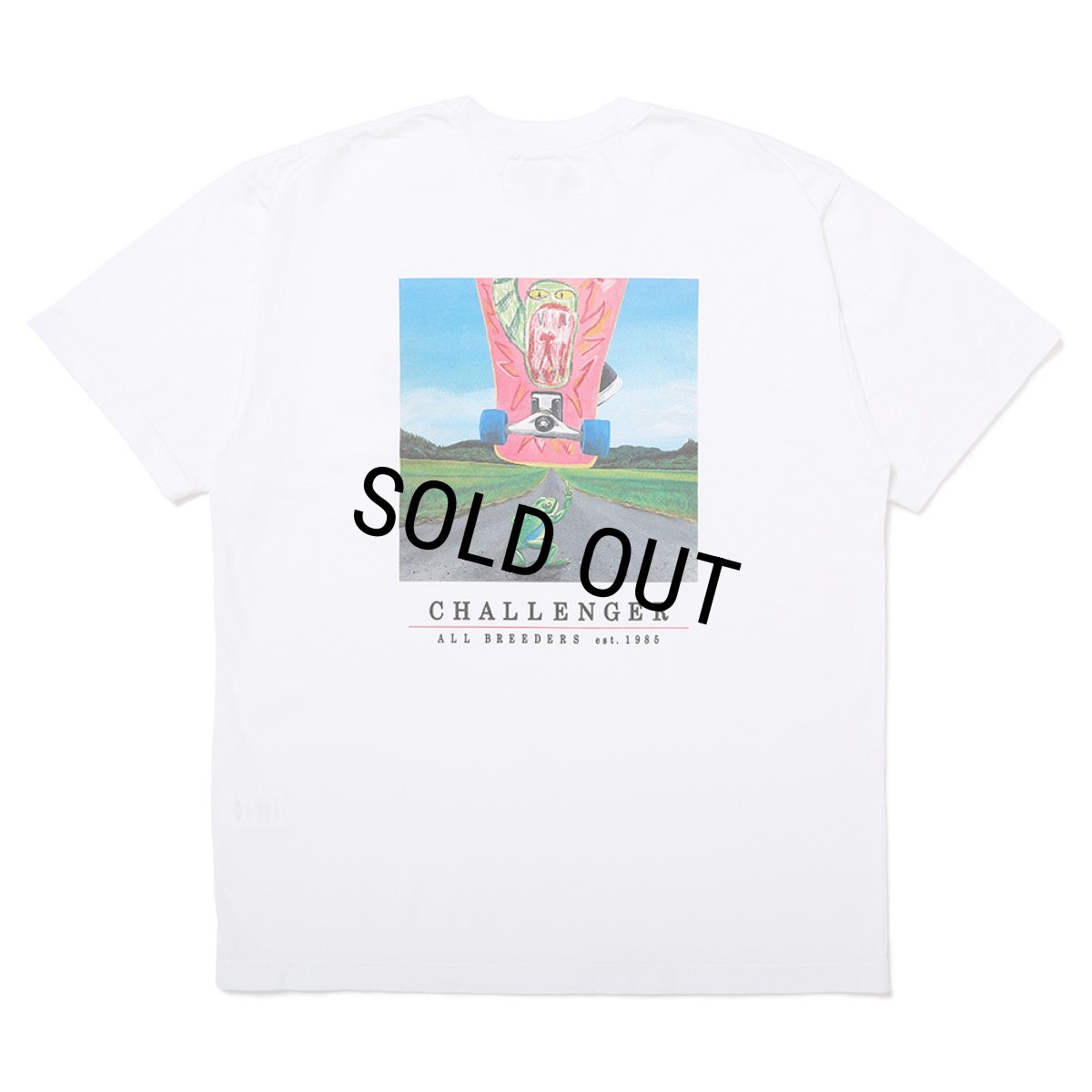 画像1: CHALLENGER/FROG TEE（WHITE）［プリントT-25春夏］ (1)