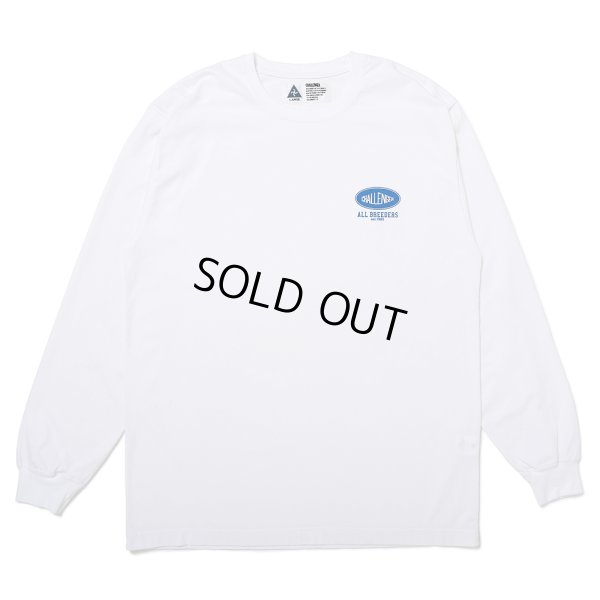 画像2: CHALLENGER/L/S ROSE BANDANA TEE（WHITE）［プリント長袖T-25春夏］