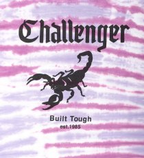 画像4: CHALLENGER/TIE DYE SCORPION TEE（LT PURPLE）［タイダイT-25春夏］ (4)