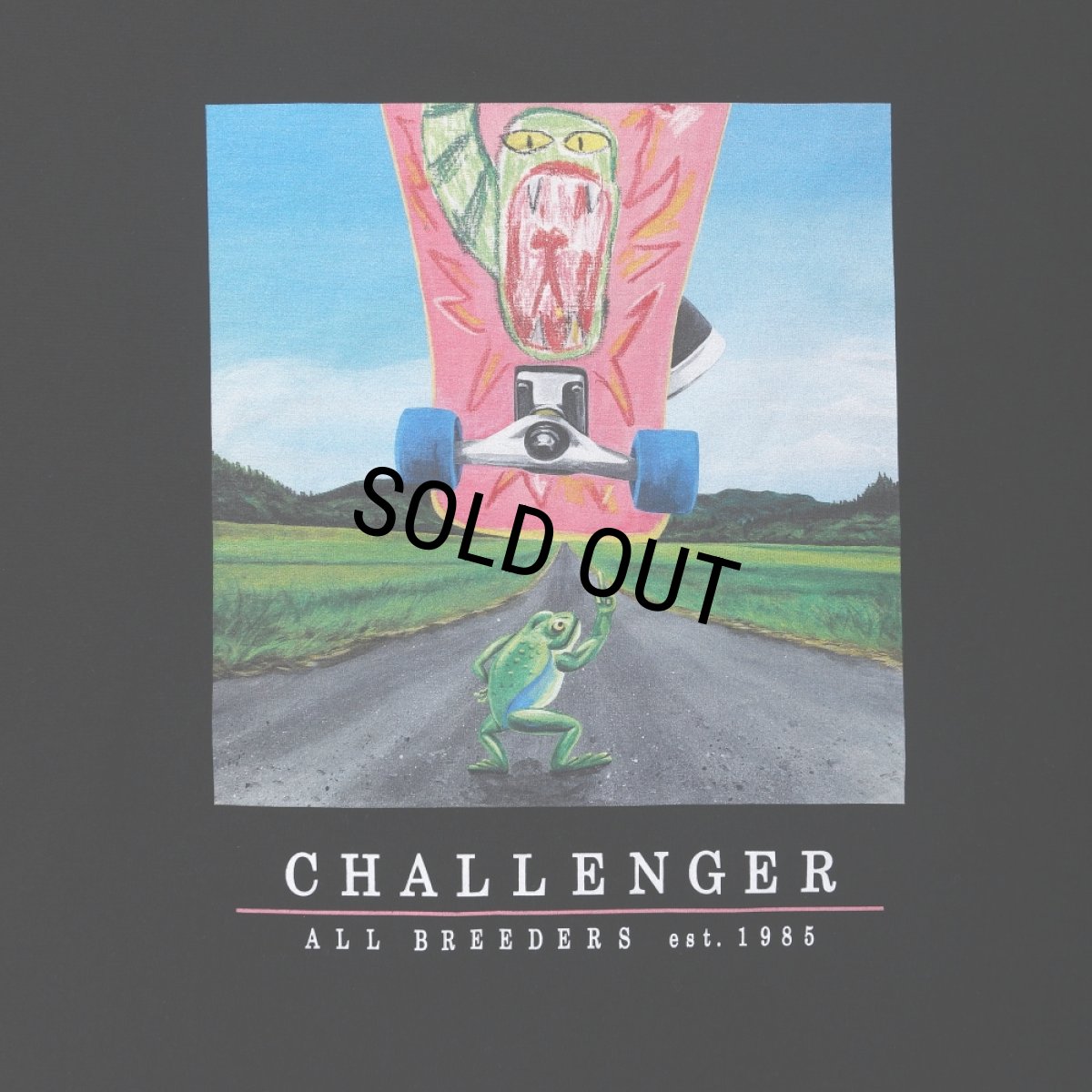 画像4: CHALLENGER/L/S FROG TEE（BLACK）［プリント長袖T-25春夏］ (4)