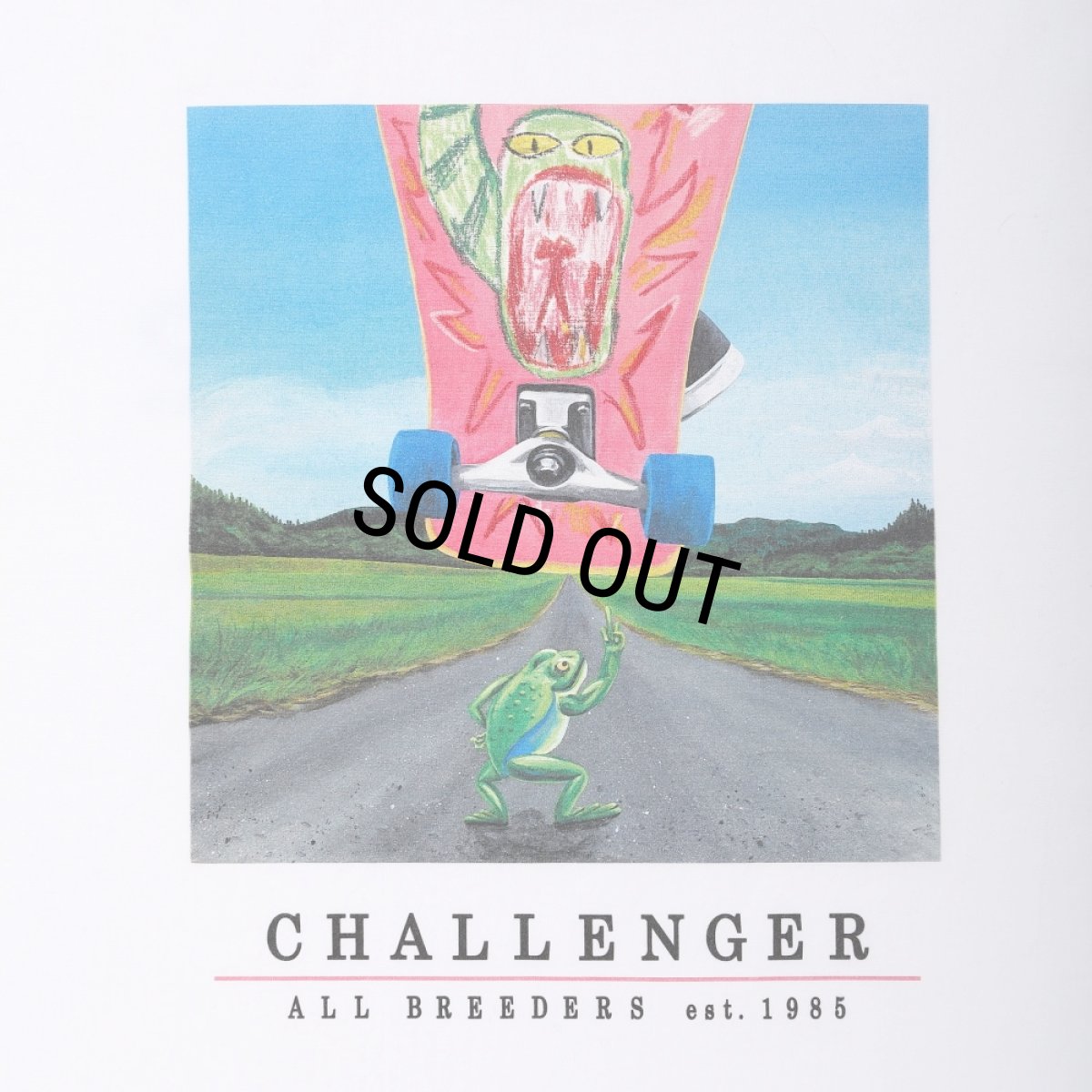 画像4: CHALLENGER/L/S FROG TEE（WHITE）［プリント長袖T-25春夏］ (4)