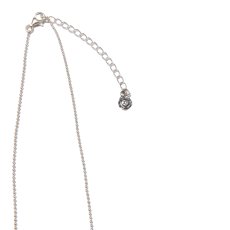 画像4: ROTTWEILER/LONG DOG CHAIN ROSARIO（SILVER）［ロングドッグチェーンロザリオ-24秋冬］ (4)