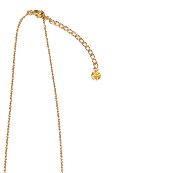 画像4: ROTTWEILER/LONG DOG CHAIN ROSARIO（GOLD）［ロングドッグチェーンロザリオ-24秋冬］