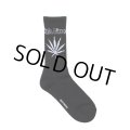WACKO MARIA/HIGH TIMES / JACQUARD SOCKS（BLACK）［ジャガードソックス-25春夏］