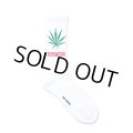WACKO MARIA/HIGH TIMES / JACQUARD SOCKS（WHITE）［ジャガードソックス-25春夏］