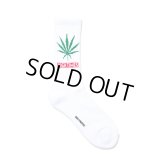 WACKO MARIA/HIGH TIMES / JACQUARD SOCKS（WHITE）［ジャガードソックス-25春夏］