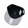 画像3: BUENA VISTA/BV LOGO CAP（SILVER）［ロゴキャップ-25春夏］ (3)