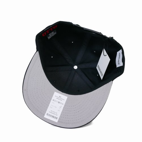 他の写真3: BUENA VISTA/BV LOGO CAP（SILVER）［ロゴキャップ-25春夏］