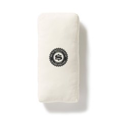 画像2: BlackEyePatch/OG DOLLAR BILL CUSHION（MULTI） (2)