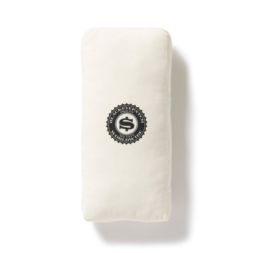 他の写真2: BlackEyePatch/OG DOLLAR BILL CUSHION（MULTI）