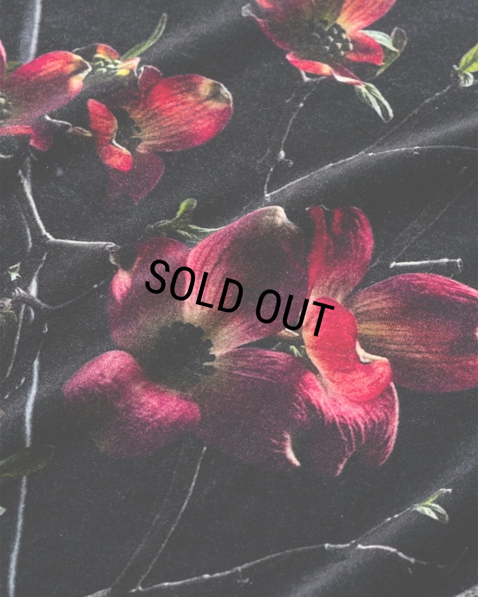 画像2: TIGHTBOOTH/DOGWOOD VELOUR L/S SHIRT（Dogwood）［ドッグウッドベロア長袖-25春夏］ (2)