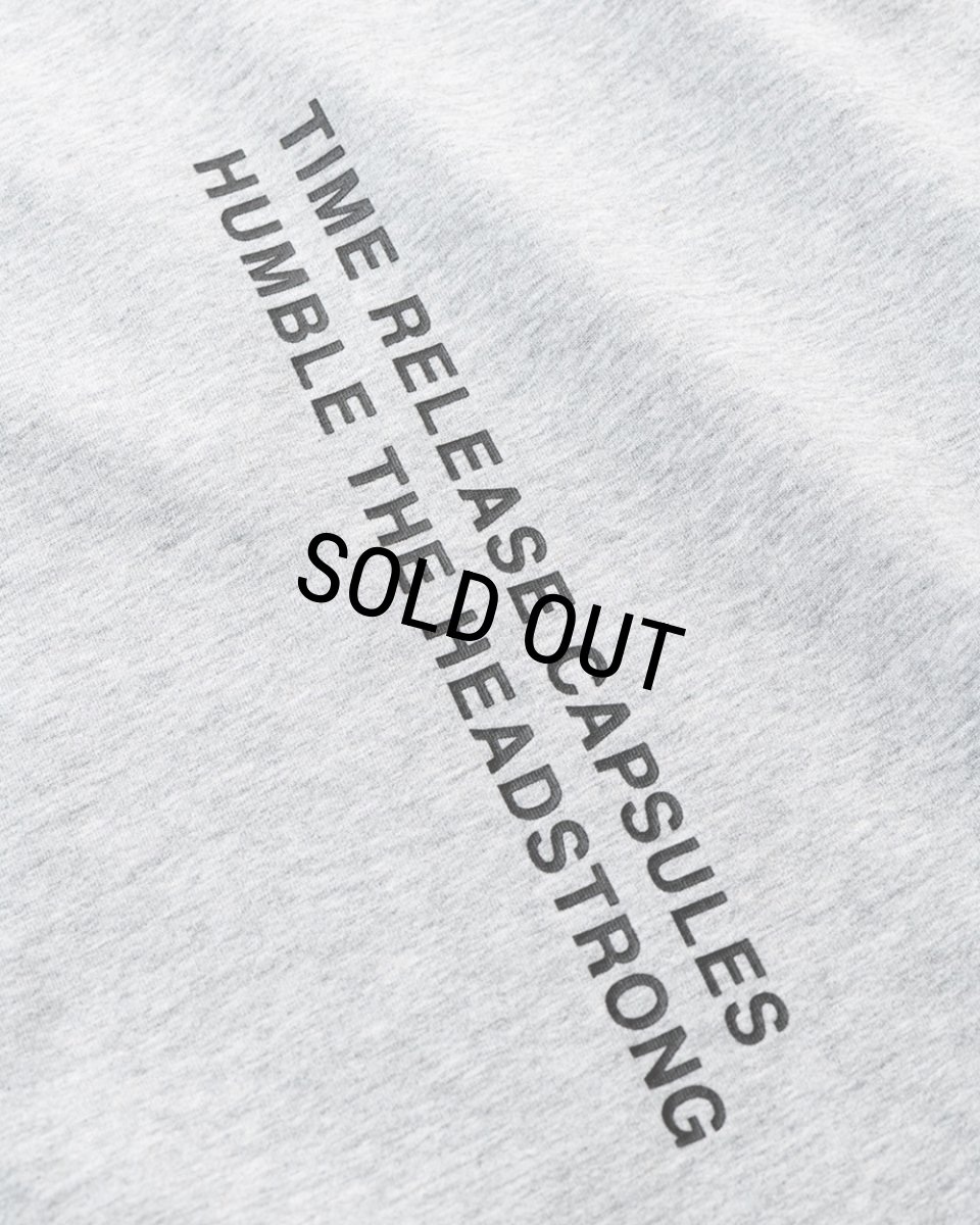 画像7: TIGHTBOOTH x SauRas Being S/S T-SHIRT（Grey）［プリントT-25春夏］ (7)