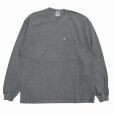 画像2: ROUGH AND RUGGED/DESIGN LS（BLACK/PIGMENT）［刺繍+プリント長袖T-25春夏］ (2)