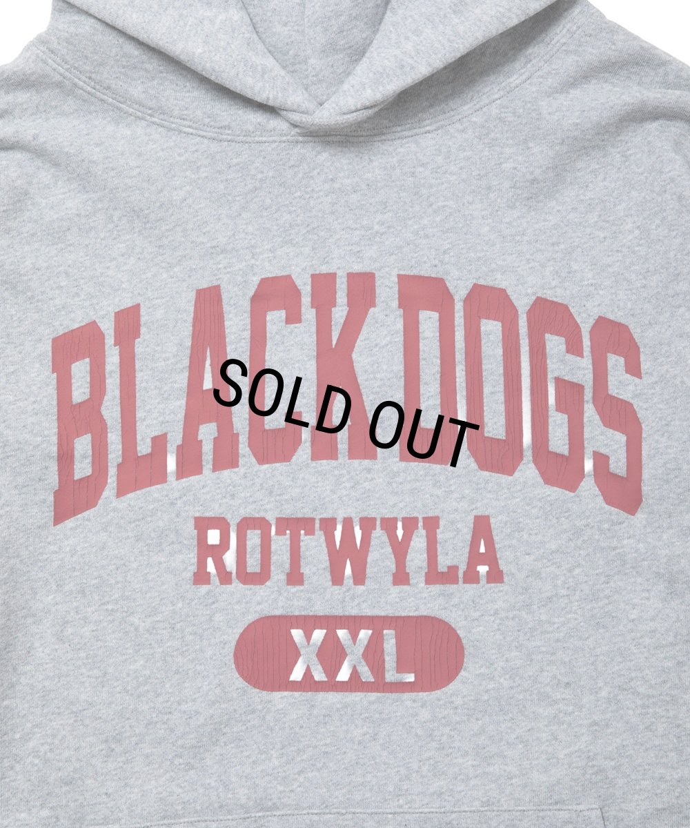 画像3: ROTTWEILER/BD XXL PARKA（GRAY）［プルオーバーパーカー-25秋冬］ (3)