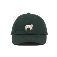 【25秋冬ご予約受付中！25年8月入荷予定】ROTTWEILER/DAD DOG CAP（GREEN）［キャップ-25秋冬］