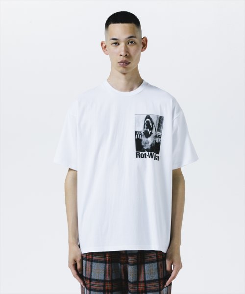 他の写真2: 【25秋冬ご予約受付中！25年7月入荷予定】ROTTWEILER/DOG PHOTO TEE（WHITE）［プリントT-25秋冬］