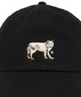 画像4: 【25秋冬ご予約受付中！25年8月入荷予定】ROTTWEILER/DAD DOG CAP（BLACK）［キャップ-25秋冬］ (4)