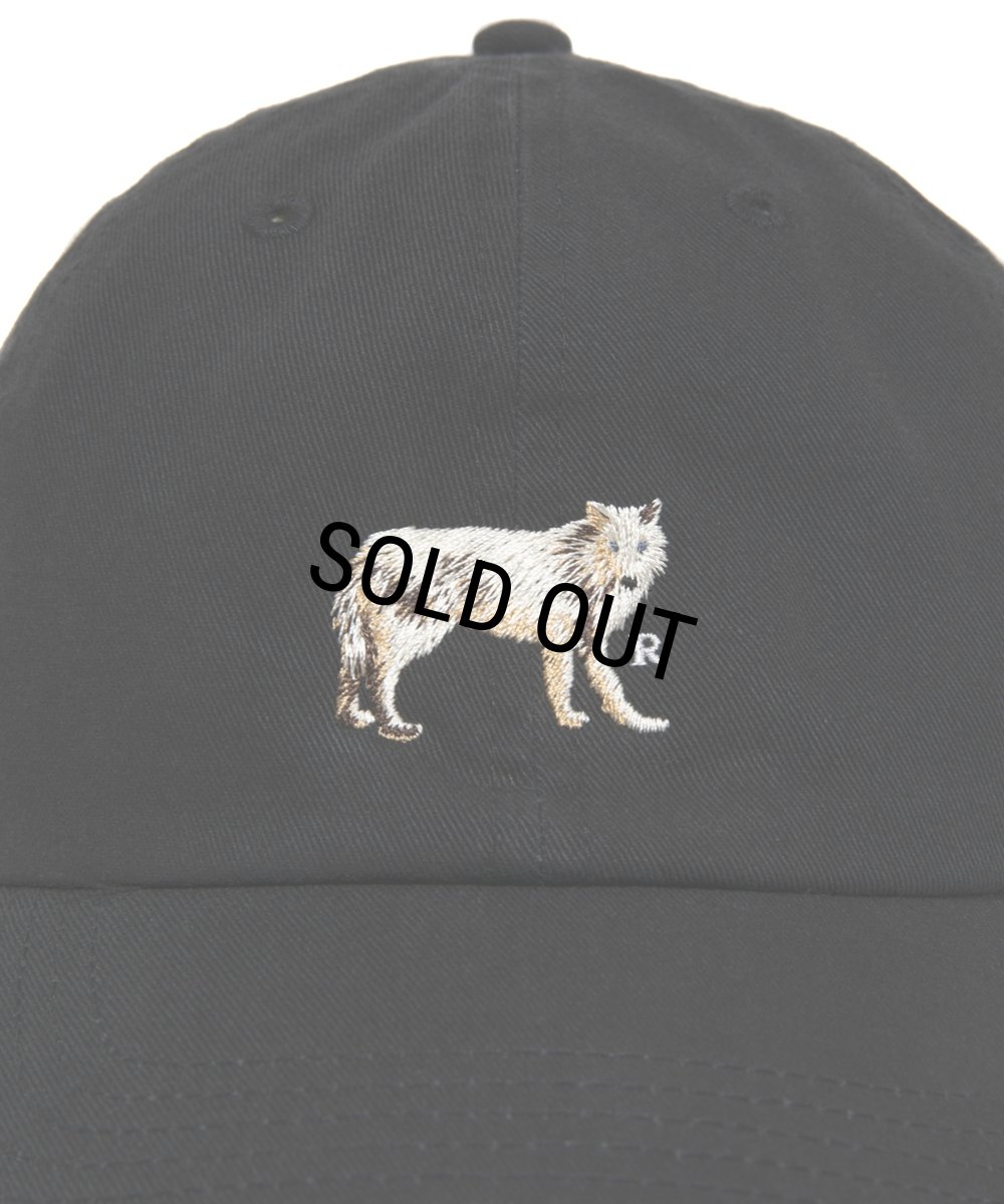 画像4: ROTTWEILER/DAD DOG CAP（BLACK）［キャップ-25秋冬］ (4)