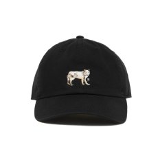 画像1: ROTTWEILER/DAD DOG CAP（BLACK）［キャップ-25秋冬］ (1)