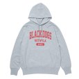 画像1: 【25秋冬ご予約受付中！25年9月入荷予定】ROTTWEILER/BD XXL PARKA（GRAY）［プルオーバーパーカー-25秋冬］ (1)