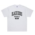 画像1: 【25秋冬ご予約受付中！25年7月入荷予定】ROTTWEILER/BD XXL TEE（WHITE）［プリントT-25秋冬］ (1)