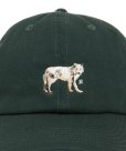 画像4: 【25秋冬ご予約受付中！25年8月入荷予定】ROTTWEILER/DAD DOG CAP（GREEN）［キャップ-25秋冬］ (4)