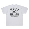 画像1: 【25秋冬ご予約受付中！25年7月入荷予定】ROTTWEILER/HORSE TEE（WHITE）［プリントT-25秋冬］ (1)