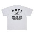 ROTTWEILER/HORSE TEE（WHITE）［プリントT-25秋冬］