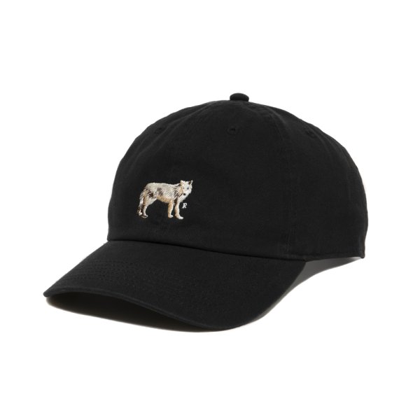 画像3: 【25秋冬ご予約受付中！25年8月入荷予定】ROTTWEILER/DAD DOG CAP（BLACK）［キャップ-25秋冬］