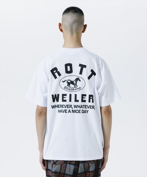 他の写真3: 【25秋冬ご予約受付中！25年7月入荷予定】ROTTWEILER/HORSE TEE（WHITE）［プリントT-25秋冬］