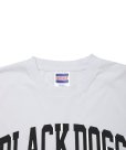 画像3: 【25秋冬ご予約受付中！25年7月入荷予定】ROTTWEILER/BD XXL TEE（WHITE）［プリントT-25秋冬］ (3)