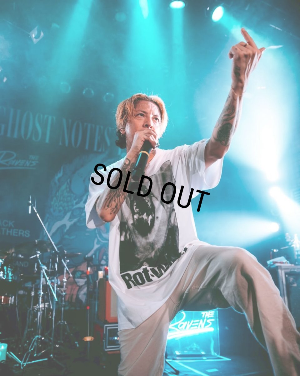 画像8: ROTTWEILER/DOG PHOTO TEE（GRAY）［プリントT-25春夏］ (8)