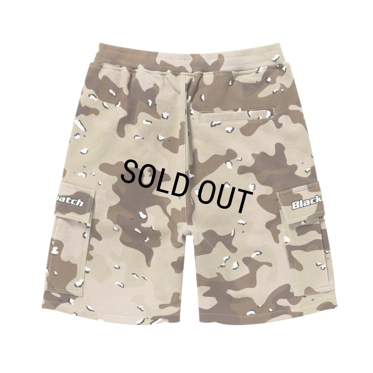 画像2: BlackEyePatch/TACTICAL LOGO CARGO SHORTS（DESERT CAMO） (2)