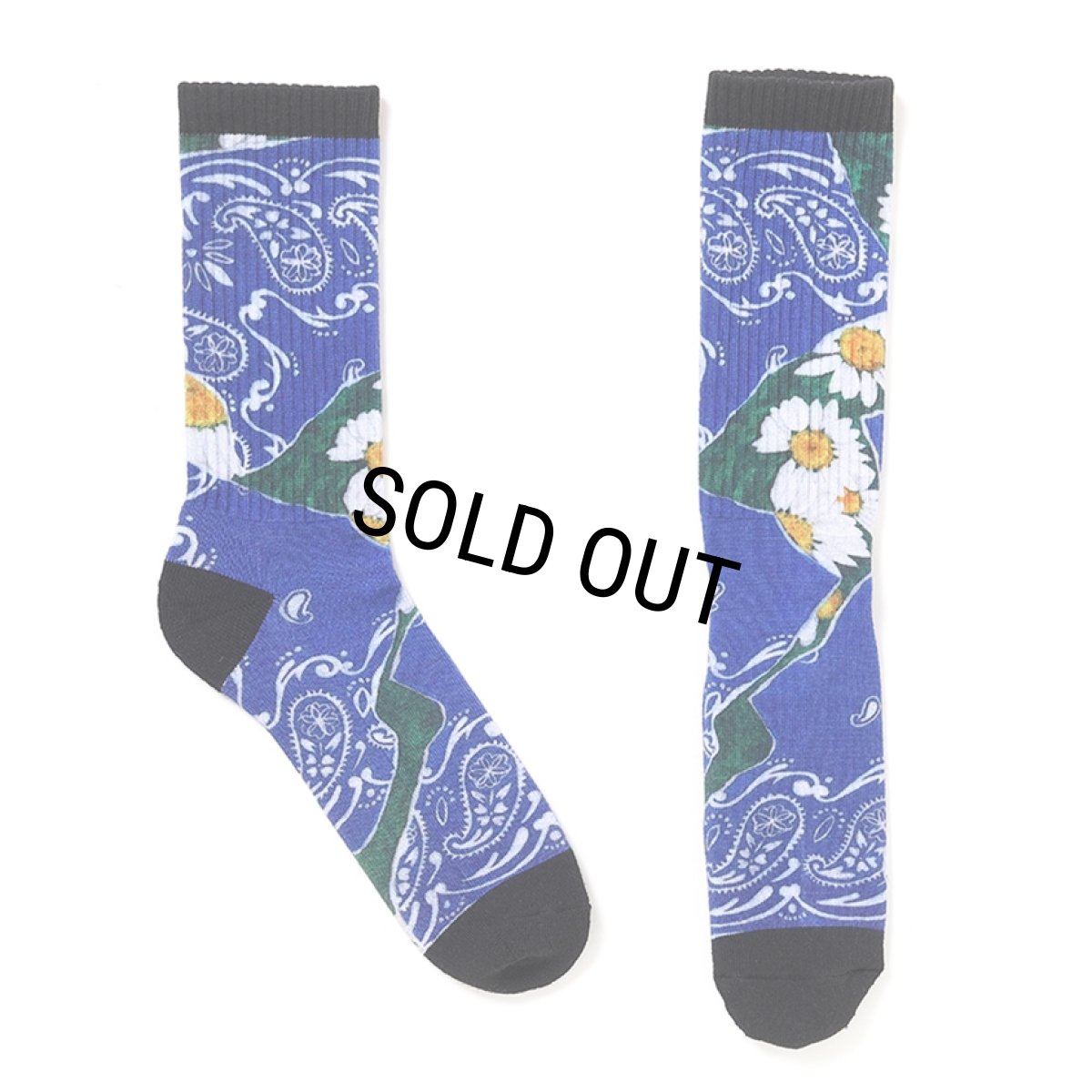 画像2: CHALLENGER/DAISY SOCKS（BLUE）［デイジーソックス-25秋冬］ (2)