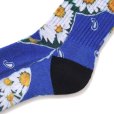 画像5: CHALLENGER/DAISY SOCKS（BLUE）［デイジーソックス-25秋冬］