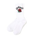 CHALLENGER/ROSE SOCKS（WHITE）［ローズソックス-25秋冬］
