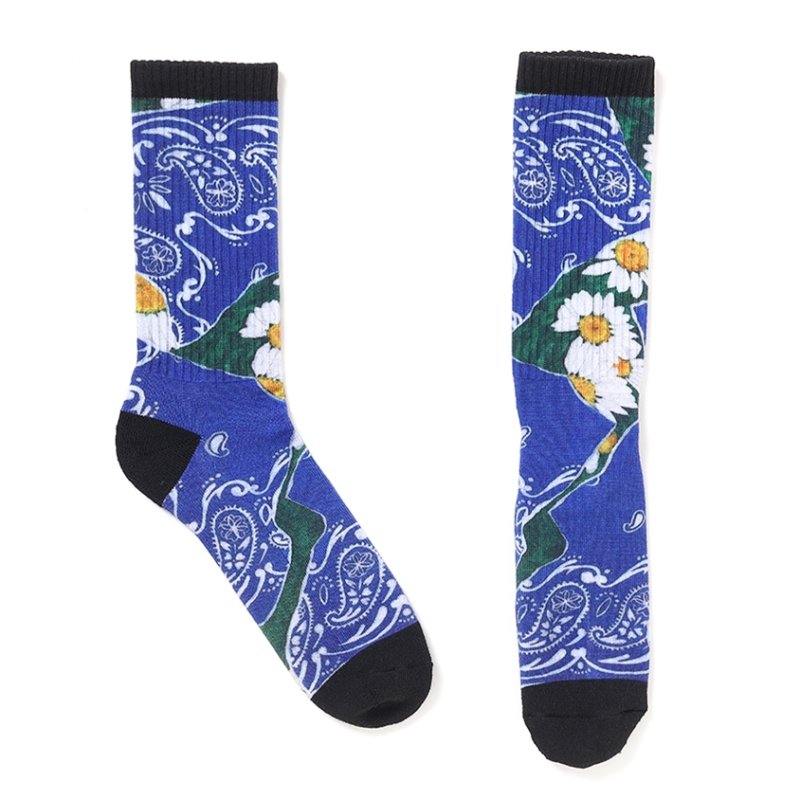 画像2: CHALLENGER/DAISY SOCKS（BLUE）［デイジーソックス-25秋冬］