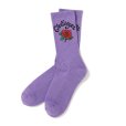 画像1: CHALLENGER/ROSE SOCKS（PURPLE）［ローズソックス-25秋冬］ (1)