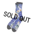 CHALLENGER/DAISY SOCKS（BLUE）［デイジーソックス-25秋冬］