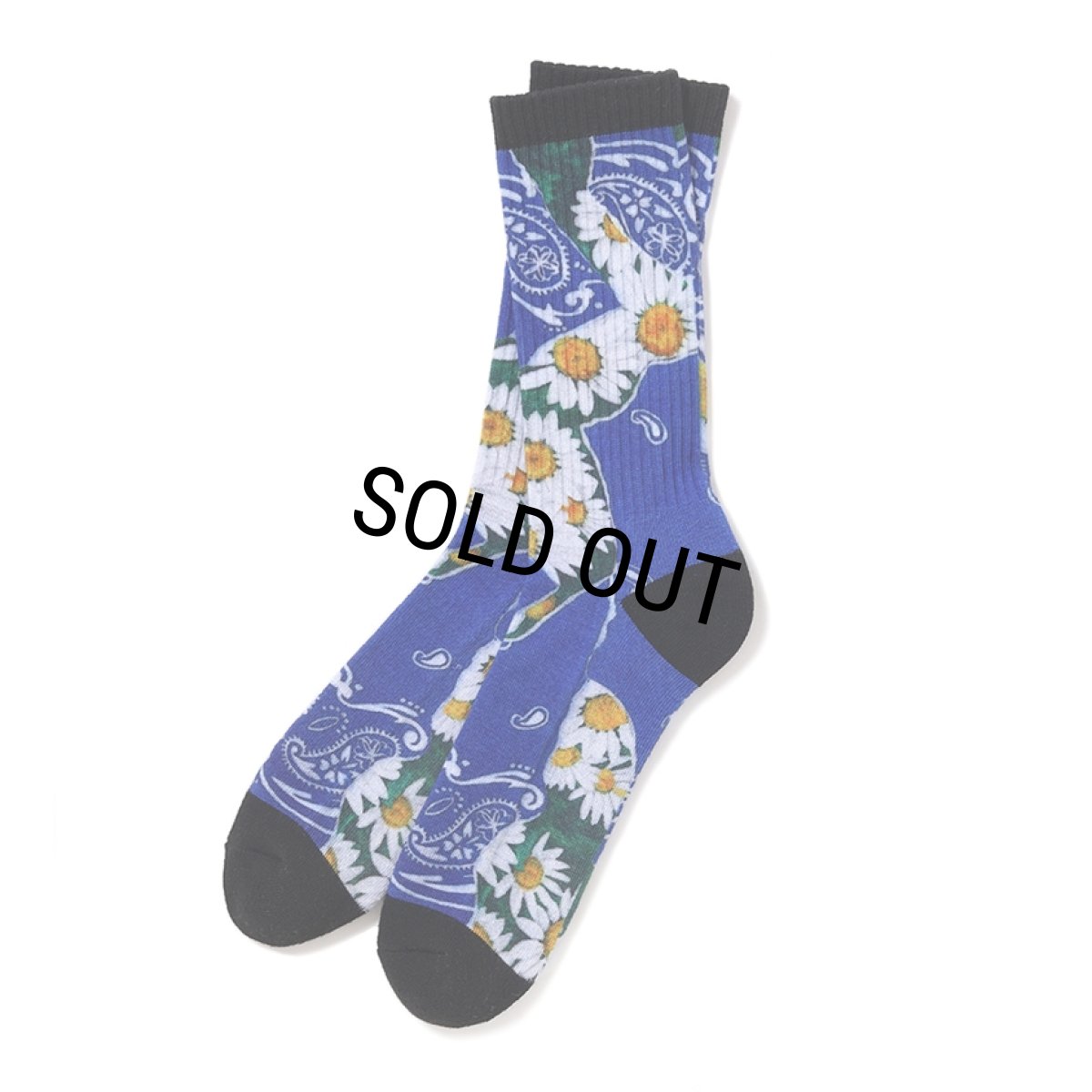 画像1: CHALLENGER/DAISY SOCKS（BLUE）［デイジーソックス-25秋冬］ (1)