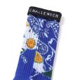 画像4: CHALLENGER/DAISY SOCKS（BLUE）［デイジーソックス-25秋冬］