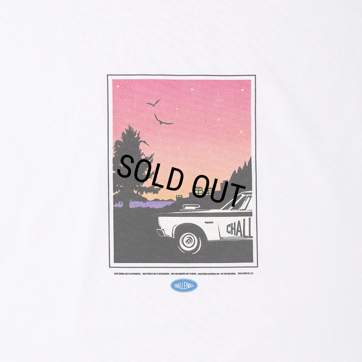 画像3: CHALLENGER/CRUISING TEE（WHITE）［クルージングT-25秋冬］ (3)