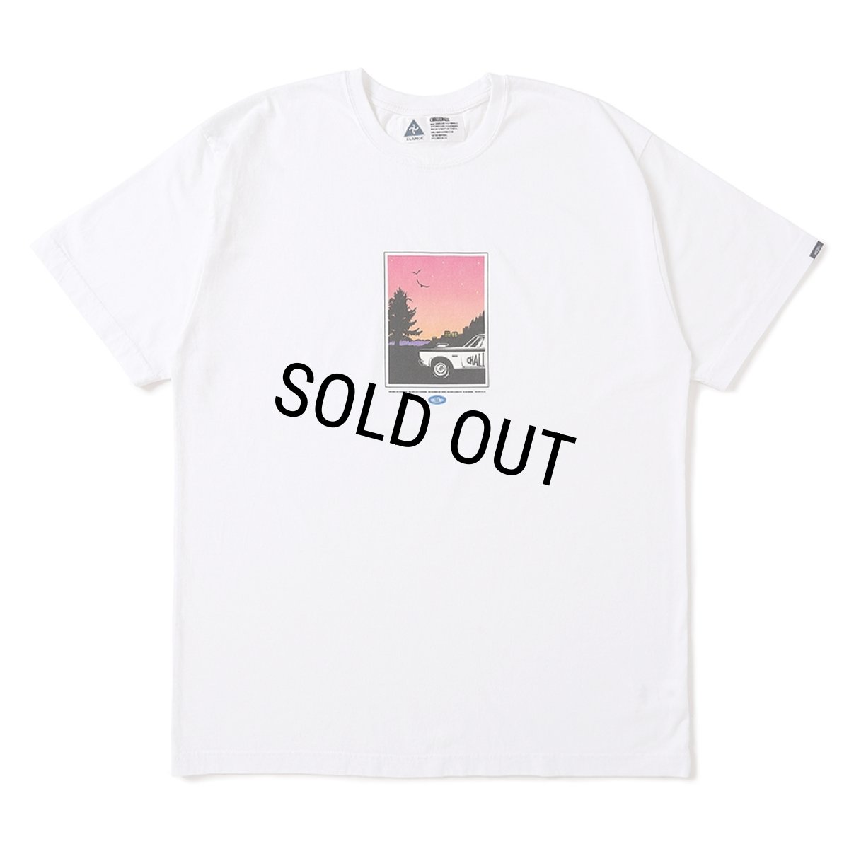 画像1: CHALLENGER/CRUISING TEE（WHITE）［クルージングT-25秋冬］ (1)
